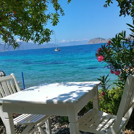 Mavi Akvaryum 4*