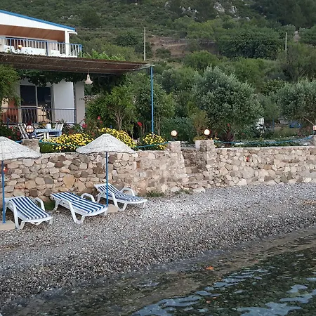 Hotel Mavi Akvaryum Selimiye (Aegean)